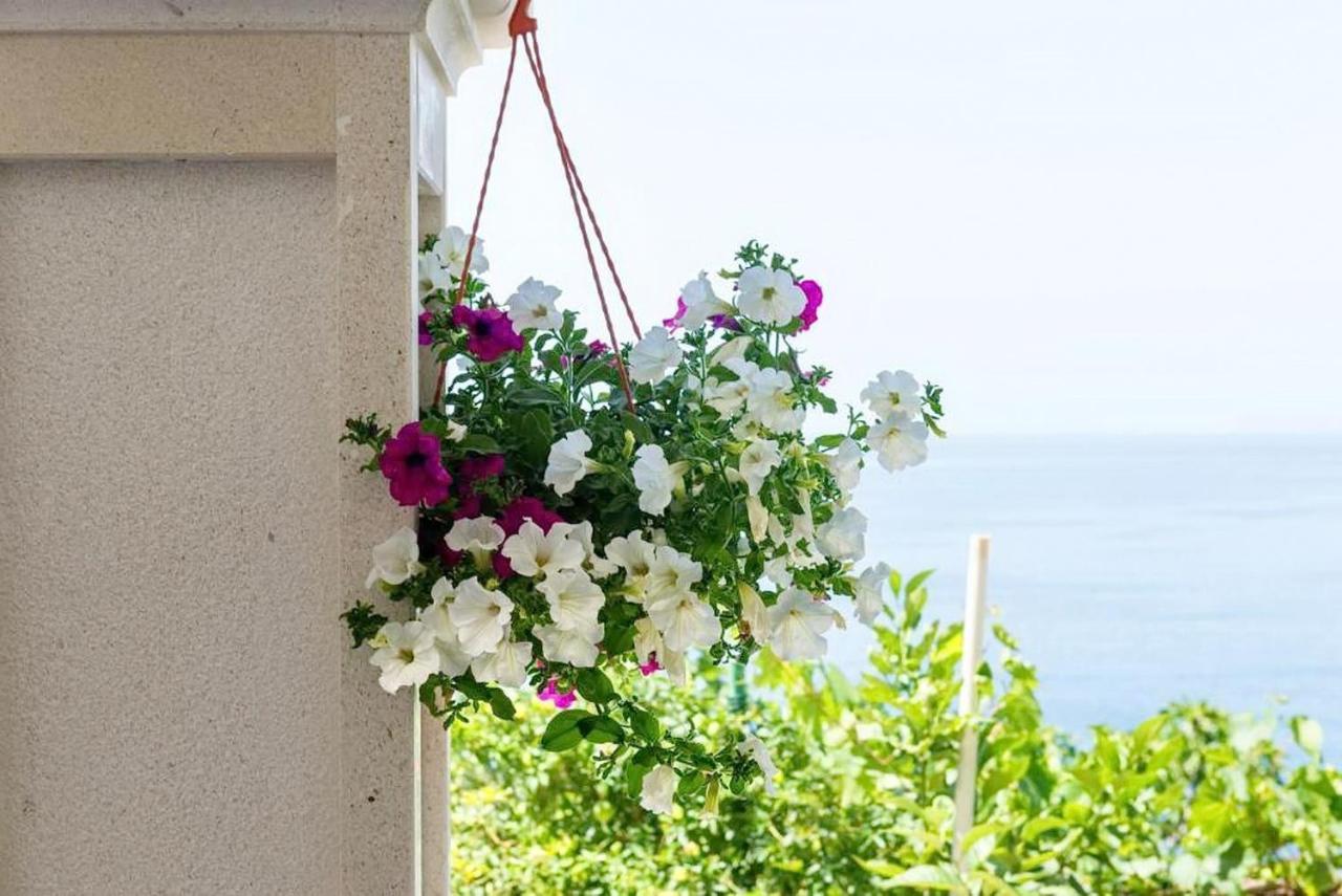 Apartments Villa Bella Vista Gornji Dingač Εξωτερικό φωτογραφία