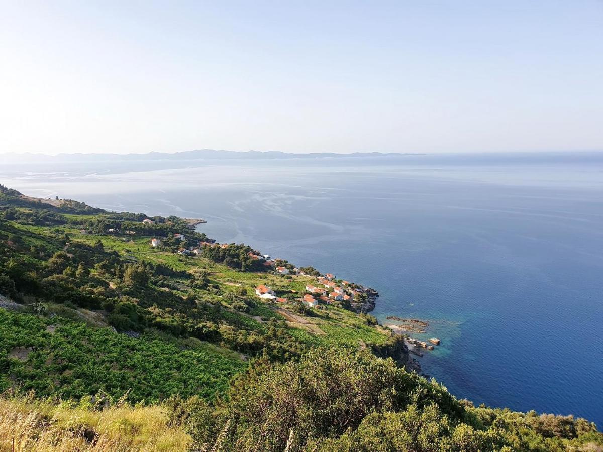 Apartments Villa Bella Vista Gornji Dingač Εξωτερικό φωτογραφία
