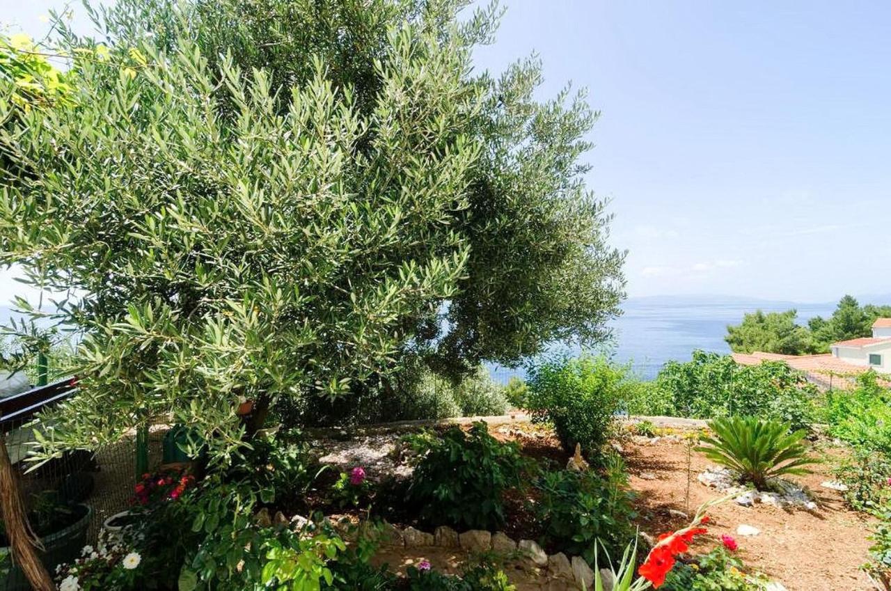 Apartments Villa Bella Vista Gornji Dingač Εξωτερικό φωτογραφία